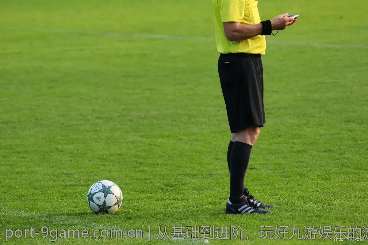 从基础到进阶，玩好九游娱乐的游戏秘籍